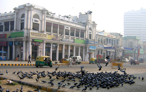 Connaught Place, Early Morning, Pigeons